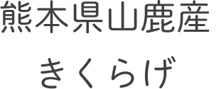 熊本県山鹿産 国産きくらげ